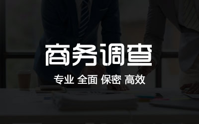 深圳商务调查
