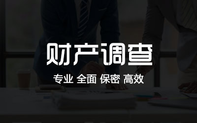 深圳财产调查